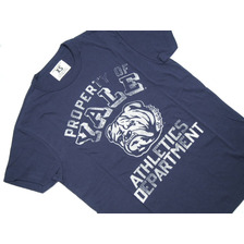 TAIL GATE S/S YALE TEE/navy画像