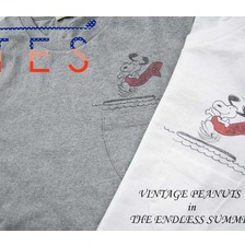 The Endless Summer VINTAGE PEANUTS IN TES FH-6574352画像