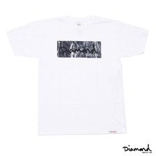 Diamond Supply Co. MARBLE FILL TEE画像