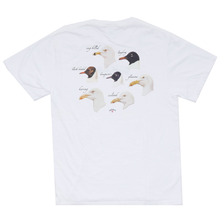 Noah Gulls Tee画像