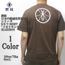 麿紋 日本の絶滅危惧種紋シリーズ S/S T-SHIRT "イカリモンハンミョウ"画像