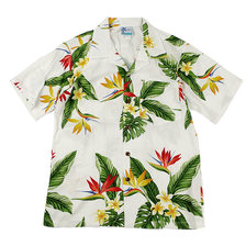 RJC/Robert J. Clancey Ltd BOYS RAYON SHIRT 203O-JT画像