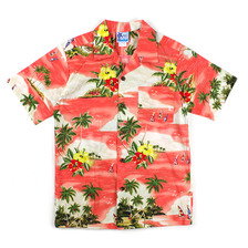 RJC/Robert J. Clancey Ltd BOYS COTTON SHIRT 203C-1065画像
