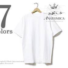 ANATOMICA PLAIN-T 530-501-19画像
