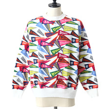 HUMAN MADE PENNAT SWEART SHIRT HM12CS006画像