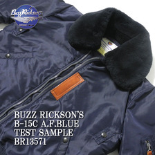 Buzz Rickson's B-15C A.F.BLUE TEST SAMPLE BR13571画像