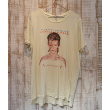 JUNK FOOD DAVID BOWIE DV067-8026画像
