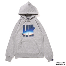 APPLEBUM &times; UNDEFEATED SUMMER MADNESS HOOD SWEAT H.GREY画像