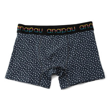 anapau 太陽の星画像