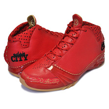 NIKE AIR JORDAN XX3 CHICAGO unvrsty rd/unvrsty rd-gm yllw 811645-650画像