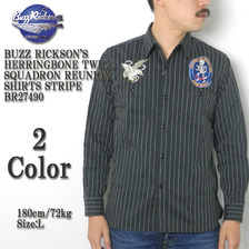 Buzz Rickson's HERRINGBONE TWILL SQUADRON REUNION SHIRTS STRIPE BR27490画像