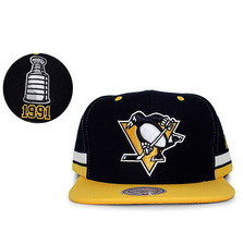 Mitchell & Ness PITTBURGH PENGUINS 90-91 STANLEY CUP SNAPBACK BLACKxGOLD LVMNPBPZ044画像