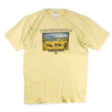 American Backcountry YELLOWSTONE NP画像