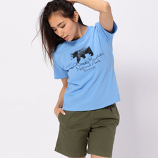 American Backcountry Great Smoky Mountains画像