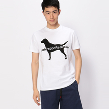 Labrador Retriever BIGロゴTシャツ画像