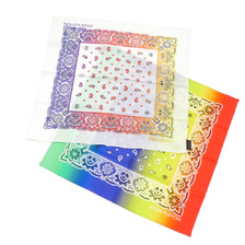 LOUIS VUITTON &times; Fragment Design BANDA.PAISLEY RAINBOW S画像