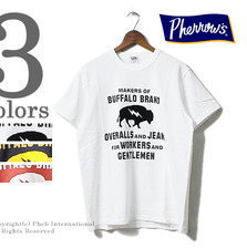 Pherrow's 17S-PTJ9画像