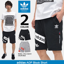 adidas Originals AOP Block Short BQ091SHT画像