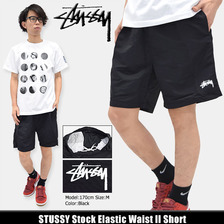 STUSSY Stock Elastic Waist II Short 113093画像