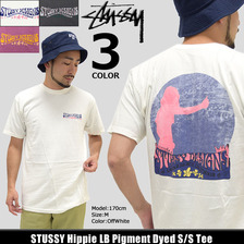 STUSSY Hippie LB Pigment Dyed S/S Tee 1904079画像