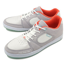 e's &times; DGK ACCEL SLIM GREY/WHITE画像