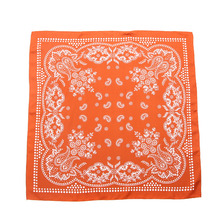 UNUSED Silk bandana UH0446画像