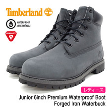 Timberland Junior 6inch Premium Waterproof Boot Forged Iron Waterbuck A1O7Q画像