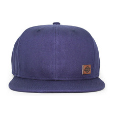 Dickies STARTER MINNESOTA SNAPBACK NAVY FXSTDKS244078画像