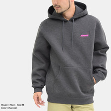 X-LARGE Vista Pullover Hoodie M17C2110画像