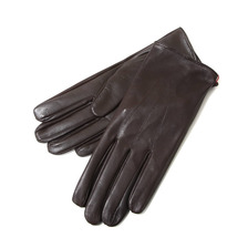 DENTS Touch screen Globe 15-1100画像