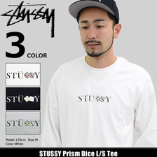 STUSSY Prism Dice L/S Tee 1994135画像