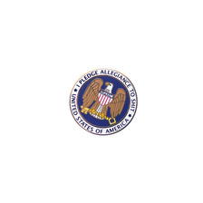Supreme Pledge Allegiance Pin GOLD画像