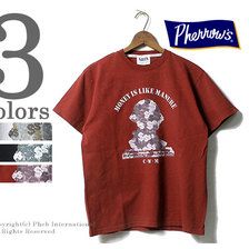 Pherrow's 18S-PT10画像