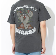 STUSSY Cobra Daze Pigment Dyed S/S Tee 1904197画像