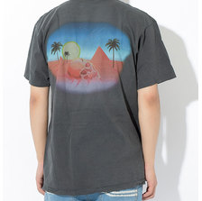 STUSSY Oasis Pigment Dyed S/S Tee 1904204画像