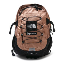 Supreme &times; THE NORTH FACE Metallic Borealis Backpack ROSE GOLD画像