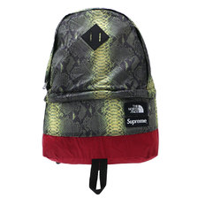 Supreme × THE NORTH FACE Snakeskin Lightweight Day Pack GREEN画像