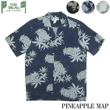 TWO PALMS PINEAPPLE MAP画像