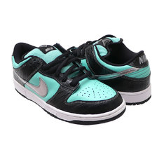 NIKE DUNK LOW PRO SB AQUA/CHROME 304292-402画像