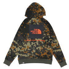 THE NORTH FACE RAGLAN RED BOX HOODY NEW TAUPE GREEN画像