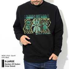 X-LARGE Garden Of Heden Crew Sweat M18C2203画像