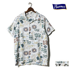 Pherrow's 19S-VOYNICH画像