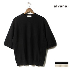 alvana 2019SS ULTIMATE S/S PO SWEAT ASW-0012画像