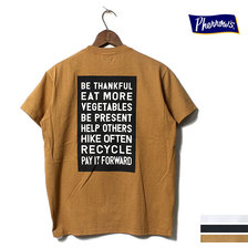 Pherrow's 19S-PT7画像