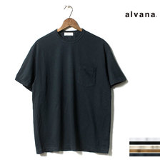 alvana 2019SS DAIRY FRAME PK TEE SHIRTS MADE IN JAPAN ACS-0006画像