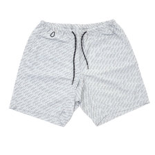 WTW SURFPEOPLE BOARDSHORTS DEW GRAY画像