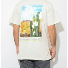 STUSSY Cactus Sky S/S Tee 1904341画像