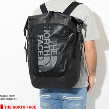 THE NORTH FACE Tortoise Daypack NM81856画像