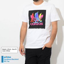 adidas Caruthers Blackbird S/S Tee Originals DU8355画像