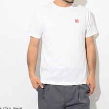 THE NORTH FACE Small Box Logo S/S Tee NT31955画像